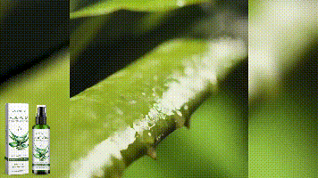 Hydrating Aloe Vera Conductive Gel 100ml product presentation